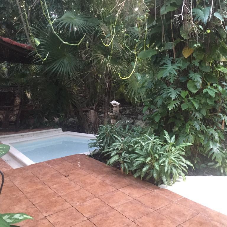 Ensueno Сasa de vacaciones Playa del Carmen